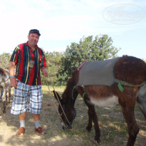 фото из отзыва ID 491292