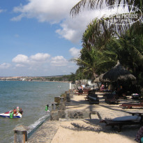 фото из отзыва ID 491429