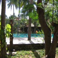 фото из отзыва ID 491429