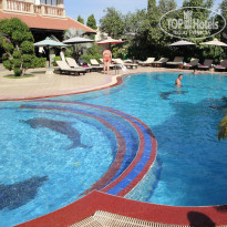 фото из отзыва ID 491438