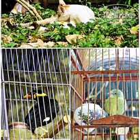 фото из отзыва ID 491509