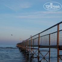 фото из отзыва ID 491919