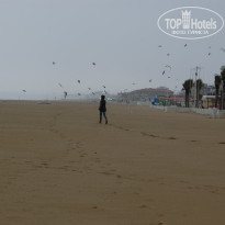 фото из отзыва ID 491919