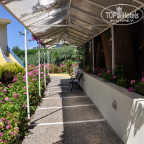 фото из отзыва ID 491992