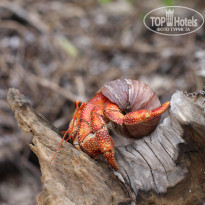 фото из отзыва ID 492146