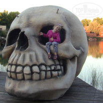 фото из отзыва ID 492231