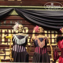 фото из отзыва ID 492231