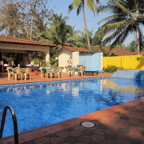 фото из отзыва ID 492563