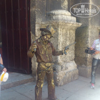 фото из отзыва ID 492952