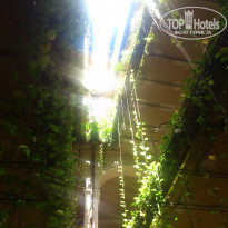 фото из отзыва ID 492952