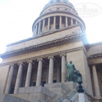 фото из отзыва ID 492952