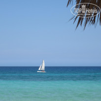 фото из отзыва ID 492952