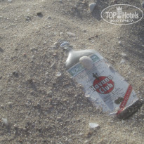 фото из отзыва ID 492952