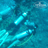 фото из отзыва ID 492723