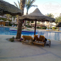 фото из отзыва ID 492723