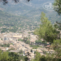 фото из отзыва ID 493309