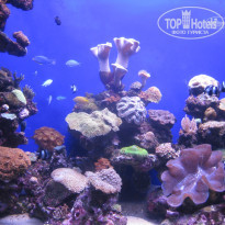 фото из отзыва ID 493309