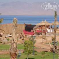 фото из отзыва ID 493715