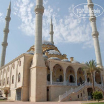 фото из отзыва ID 49494