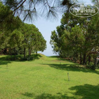 фото из отзыва ID 49494