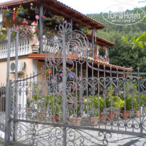 фото из отзыва ID 494326