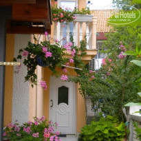 фото из отзыва ID 494326