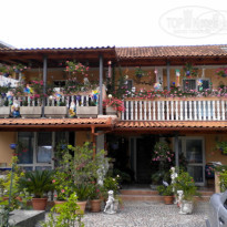 фото из отзыва ID 494326