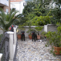 фото из отзыва ID 494326