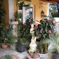 фото из отзыва ID 494326