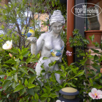 фото из отзыва ID 494326