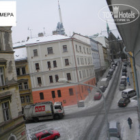 фото из отзыва ID 494550