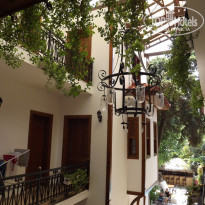 фото из отзыва ID 494581