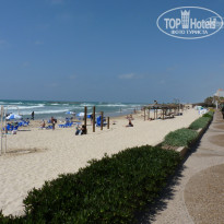 фото из отзыва ID 494713