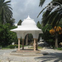 фото из отзыва ID 494780