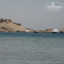 фото из отзыва ID 494931