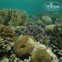 фото из отзыва ID 494931