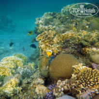 фото из отзыва ID 494931