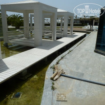 фото из отзыва ID 495318