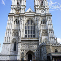 фото из отзыва ID 495362