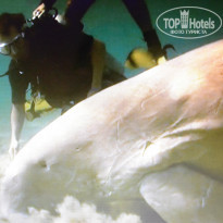 фото из отзыва ID 495180