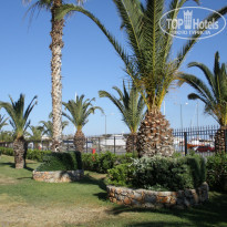 фото из отзыва ID 496009