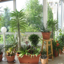 фото из отзыва ID 496562