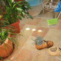 фото из отзыва ID 496562