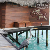 фото из отзыва ID 496194