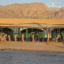 фото из отзыва ID 496788