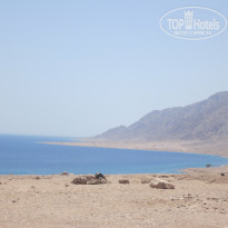 фото из отзыва ID 496788