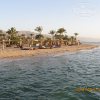 фото из отзыва ID 496788