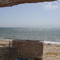 фото из отзыва ID 496788