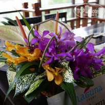 фото из отзыва ID 497013