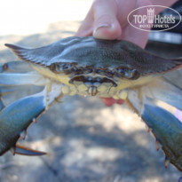 фото из отзыва ID 497374